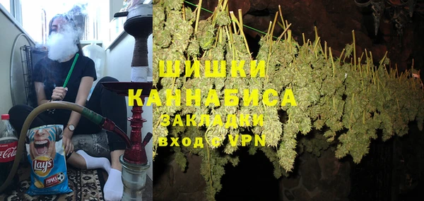 прущие грибы Анива