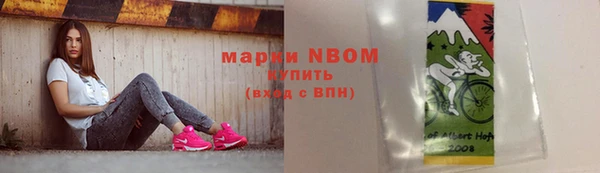 прущие грибы Анива