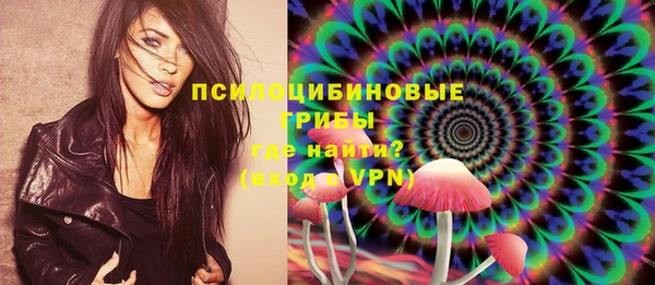 прущие грибы Анива