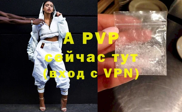 прущие грибы Анива