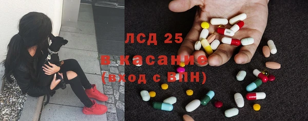 прущие грибы Анива
