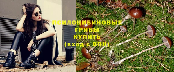 прущие грибы Анива