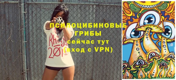 прущие грибы Анива